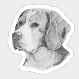 Beagle Sticker